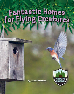 Fantastic Homes for Flying Creatures