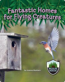 Fantastic Homes for Flying Creatures