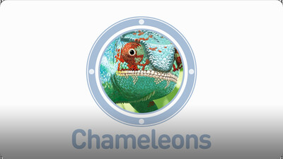 Amazing Animals: Chameleons
