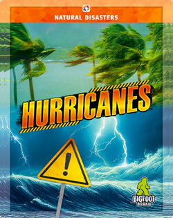 Hurricanes