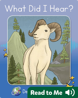 Decodable Explorers: What Did I Hear?