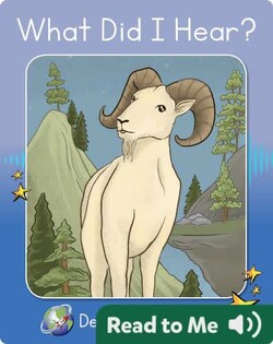 What Did I Hear?
