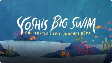 Yoshi’s Big Swim