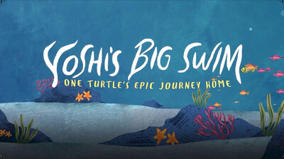 Yoshi’s Big Swim