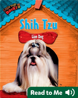 Shih Tzu: Lion Dog