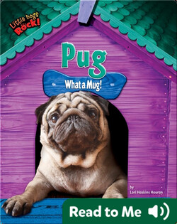 Pug: What a Mug!