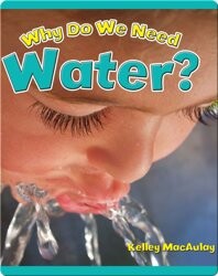 Why Do We Need Water?