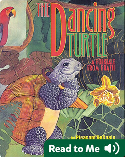 The Dancing Turtle