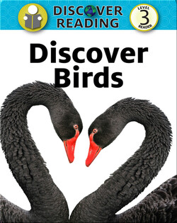 Discover Birds: Level 3 Reader