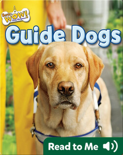 Guide Dogs