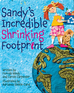 Sandy's Incredible Shrinking Footprint