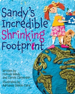 Sandy's Incredible Shrinking Footprint