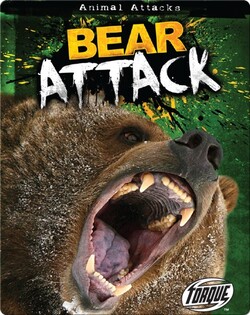 Bear Attack