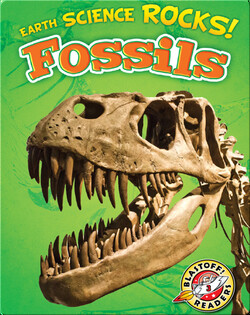 Earth Science Rocks! Fossils