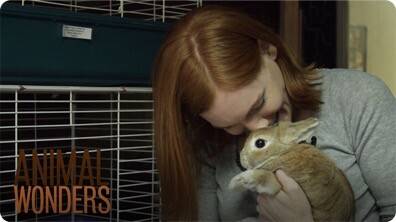Enjoying the Animals