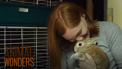 Enjoying the Animals