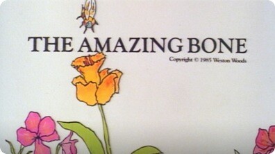 The Amazing Bone