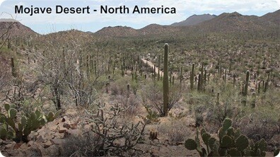 Did You Know: Deserts