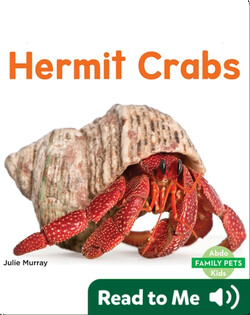 Hermit Crabs