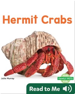 Hermit Crabs