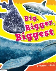 Big, Bigger, Biggest