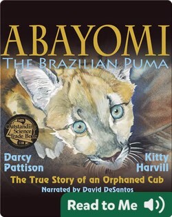 Abayomi, the Brazilian Puma