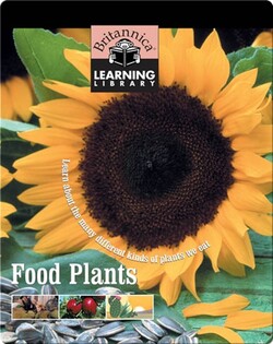 Food Plants