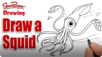 How to Draw a Squid