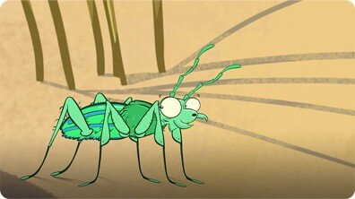 I'm a Tiger Beetle