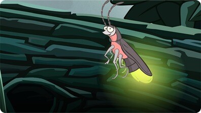 I'm a Firefly