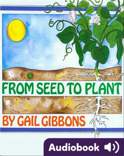From Seed to Plant