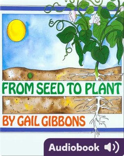 From Seed to Plant