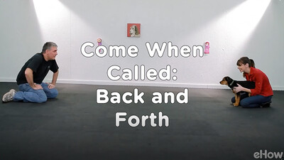 Come When Called 2: Back and Forth | Teacher's Pet With Victoria Stilwell