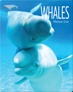 Whales