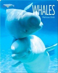 Whales