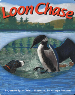 Loon Chase