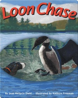 Loon Chase