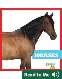 My First Pet: Horses