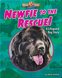 Newfie to the Rescue! A Lifeguard Dog Story