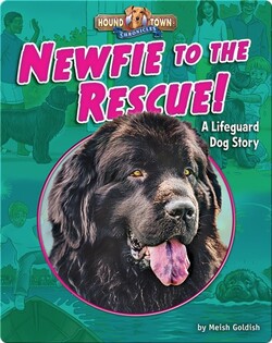 Newfie to the Rescue! A Lifeguard Dog Story