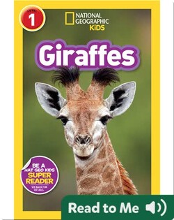 National Geographic Readers: Giraffes