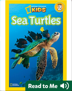 National Geographic Readers: Sea Turtles