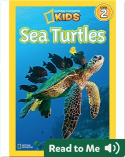 National Geographic Readers: Sea Turtles