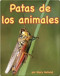 Patas de los animales