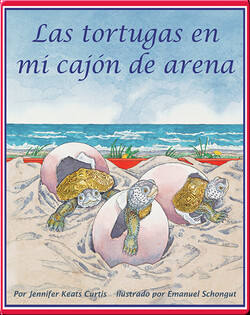 Las tortugas en mi cajón de arena