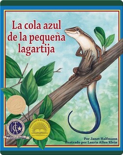 La cola azul de la pequeña lagartija