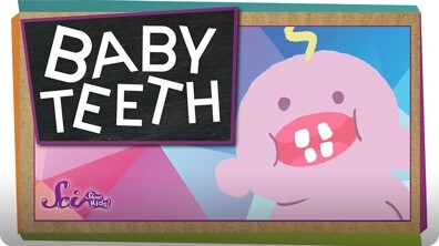 SciShow Kids: Why Do We Have Baby Teeth?