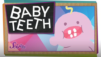 SciShow Kids: Why Do We Have Baby Teeth?