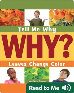Leaves Change Color