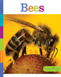 Bees